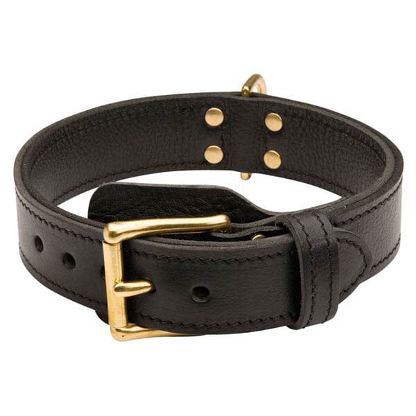 FOR DOG TRAINERS - 2 Ply Leather Agitation Dog Collar For Dog Trainers 17 in 