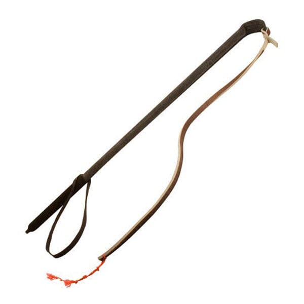 For Dog Trainers - Dog Training Agitation Whip Pet Training Aids For Dog Trainers 