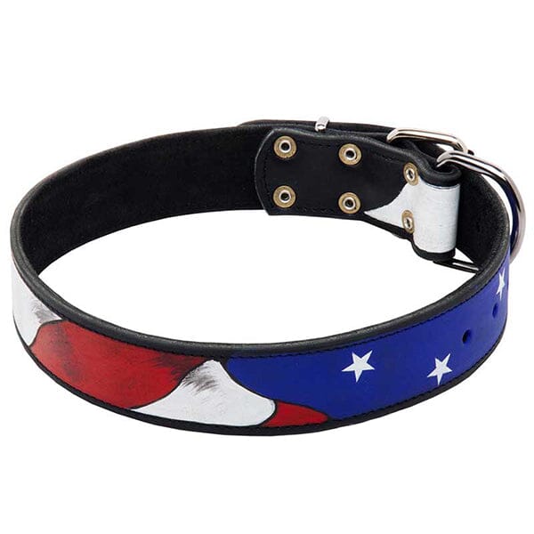 FOR DOG TRAINERS - Hand Painted "American Pride" Leather Dog Collar For Dog Trainers 19 in 