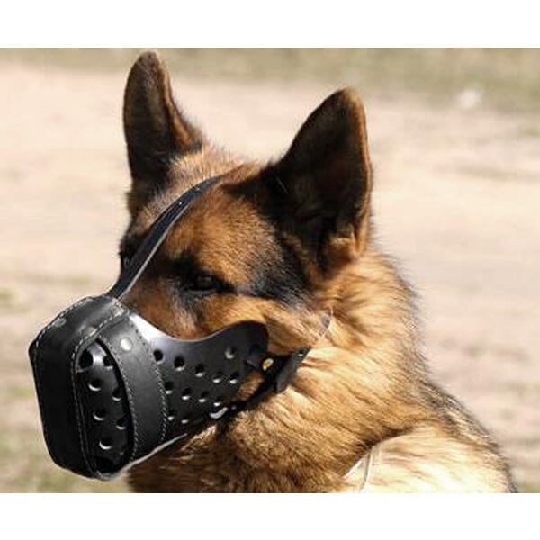 FOR DOG TRAINERS - Handcrafted Style Leather Dog Muzzle For Dog Trainers 