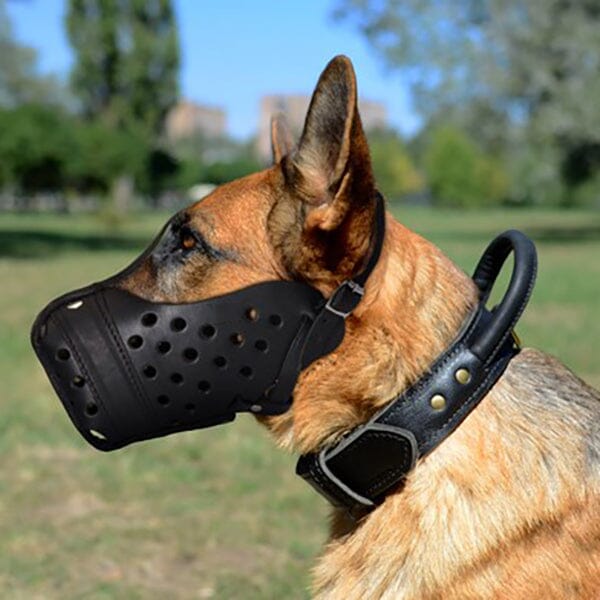 FOR DOG TRAINERS - Training Leather Dog Muzzle For Dog Trainers 