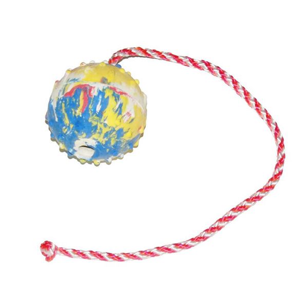 Ball On A Rope