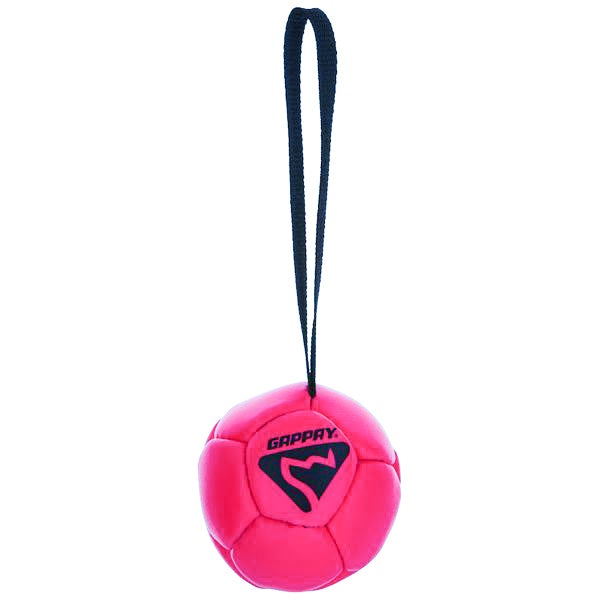 Gappay Leather Soccer Ball Tug Toy - Small Dog Toys Gappay Pink 