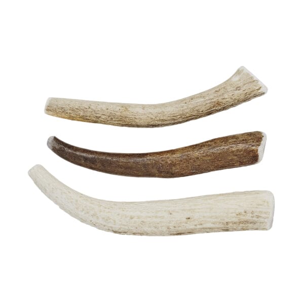 GSS- USA Rocky Mountain Elk Antler Typical Medium/Hard to Hard German Shepherd Shop 