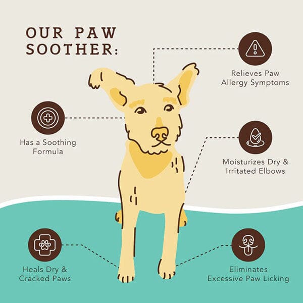 NATURAL DOG COMPANY - Paw Soother - 2 oz Stick Pet Medicine Natural Dog Company 