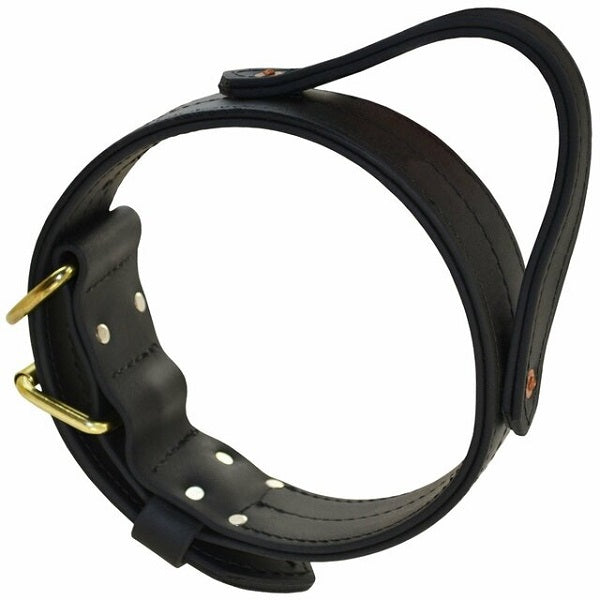 RAY ALLEN - Double Layered 2" Biothane Collar With Handle Pet Collars & Harnesses Ray Allen 20-in 